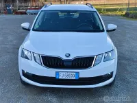 Usata Skoda Octavia Active 116 CV (85 kW) 2017 Bianco Berlina