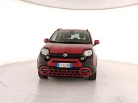 Usata Fiat Panda Cross Cross 70 CV (51 kW) 2024 Rosso Utilitaria