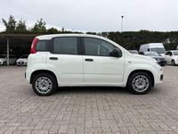 Usata Fiat Panda 69 CV (50 kW) 2022 Bianco Utilitaria
