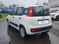 usata Fiat Panda 1.2 69cv E6 Easy