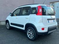 Usata Fiat Panda 4x4 S 95 CV (69 kW) 2017 Bianco Utilitaria