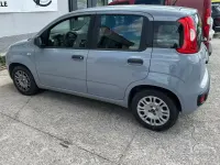 Usata Fiat Panda Easy 69 CV (50 kW) 2017 Grigio Utilitaria