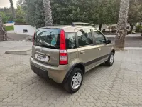 Usata Fiat Panda 4x4 Climbing 69 CV (50 kW) 2007 Grigio Utilitaria