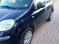 Usata Fiat Panda 69 CV (50 kW) 2018 Blu Utilitaria