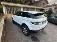 Usata Land Rover Range Rover evoque 190 CV (139 kW) 2014 Bianco SUV