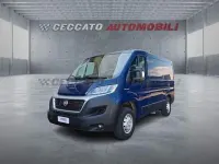 Usata Fiat Ducato 116 CV (85 kW) 2019 Blu Furgone
