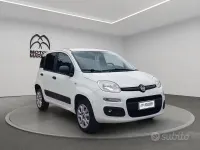Usata Fiat Panda 4x4 Pop 86 CV (63 kW) 2020 Bianco Utilitaria