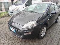 usata Fiat Punto 1.2 8V 5 porte Lounge