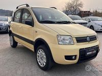 Usata Fiat Panda 4x4 60 CV (44 kW) 2006 Giallo Utilitaria