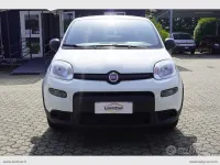 Usata Fiat Panda Street 70 CV (51 kW) 2022 Bianco Utilitaria