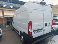 Usata Fiat Ducato 33 140 CV (102 kW) 2023 Bianco Furgone