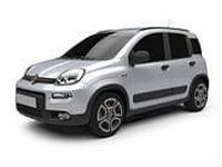 Usata Fiat Panda 69 CV (50 kW) 2024 Bianco Utilitaria