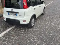 Usata Fiat Panda City Life 69 CV (50 kW) 2024 Utilitaria