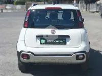 Usata Fiat Panda Cross Cross 84 CV (61 kW) 2019 Bianco Utilitaria