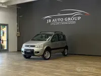 Usata Fiat Panda 4x4 69 CV (50 kW) 2006 Grigio Utilitaria