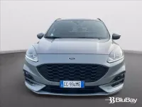 Usata Ford Kuga ST-Line 225 CV (165 kW) 2021 Grigio SUV