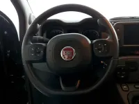Usata Fiat Panda Cross Cross 70 CV (51 kW) 2024 Verde Utilitaria