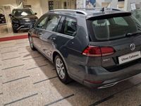Usata VW Golf VII Executive 131 CV (96 kW) 2019 Grigio Station wagon