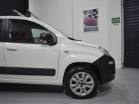 Usata Fiat Panda 4x4 Climbing 75 CV (55 kW) 2013 Bianco Utilitaria