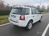 Usata Land Rover Freelander 2 SE 190 CV (139 kW) 2013 Bianco SUV