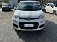 Usata Fiat Panda Easy 80 CV (58 kW) 2017 Bianco Utilitaria