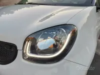 Usata Smart ForFour Passion 71 CV (52 kW) 2015 Bianco Utilitaria