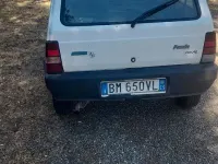 Usata Fiat Panda Young 39 CV (28 kW) 1998 Bianco Utilitaria