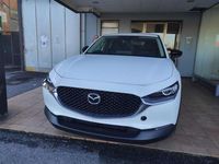 Nuova Mazda CX-30 Ad'Vantage 140 CV (102 kW) 2026 Lunar white SUV