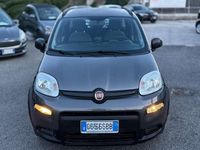 Usata Fiat Panda Easy 80 CV (58 kW) 2021 Grigio Utilitaria