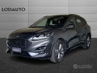 Usata Ford Kuga ST-Line 150 CV (110 kW) 2023 Grigio SUV