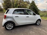 Usata Smart ForFour Passion 75 CV (55 kW) 2017 Utilitaria