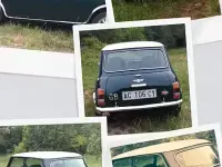 Usata Mini Cooper 63 CV (46 kW) 1996 Verde Utilitaria