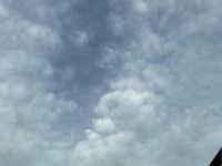 Usata Nissan Qashqai 2009 SUV