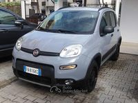 Usata Fiat Panda 4x4 S 86 CV (63 kW) 2018 Grigio Utilitaria