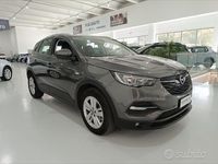 Usata Opel Grandland X S 131 CV (96 kW) 2019 Grigio SUV