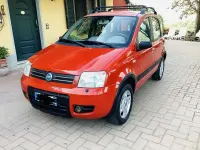 Usata Fiat Panda 4x4 Climbing 60 CV (44 kW) 2006 Utilitaria