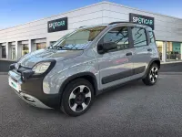 Usata Fiat Panda Cross Cross 70 CV (51 kW) 2020 Grigio Utilitaria