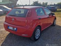 Usata Fiat Punto Lounge 69 CV (50 kW) 2015 Rosso Utilitaria