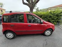 Usata Fiat Panda Dynamic 69 CV (50 kW) 2012 Rosso Utilitaria