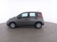 usata Fiat Panda 1.0 Mild-Hybrid City Life FireFly MHEV