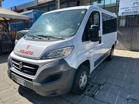 usata Fiat Ducato 2300 mtj 150 cv 9 posti panorama imm 12/2017