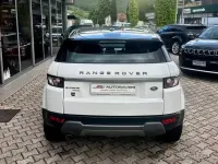 Usata Land Rover Range Rover evoque Dynamic 150 CV (110 kW) 2014 Bianco SUV
