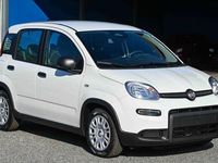 Nuova Fiat Panda Icon 69 CV (50 kW) 2025 Bianco Utilitaria