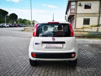Usata Fiat Panda Easy 84 CV (61 kW) 2020 Bianco Utilitaria
