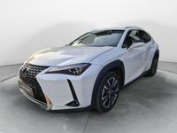 usata Lexus UX 250h Hybrid Executive