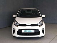 Usata Kia Picanto Style 67 CV (49 kW) 2024 Bianco Utilitaria