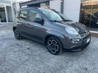 Käytetty Fiat Panda S 70 HP (51 kW) 2022 Viistoperä
