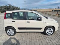 Usata Fiat Panda 85 CV (62 kW) 2014 Marrone Utilitaria