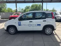 Usata Fiat Panda S 69 CV (50 kW) 2024 Bianco Utilitaria