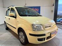 usata Fiat Panda 1.2 Dynamic usato